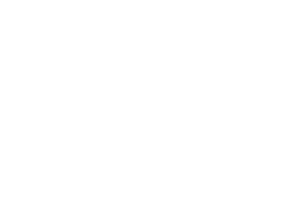 20th ANNIVERSARY